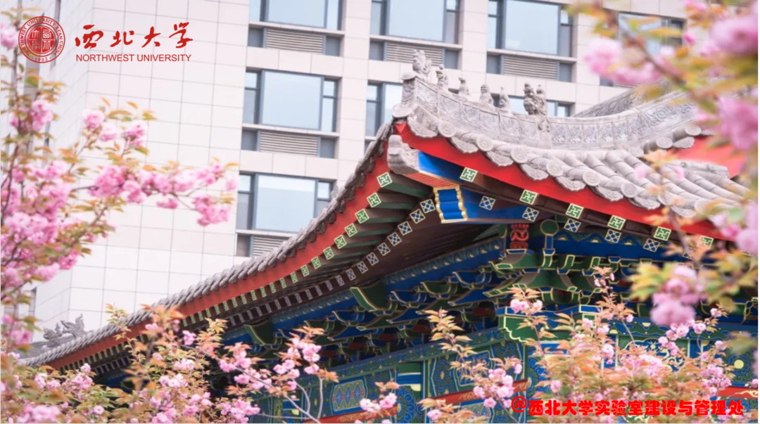 尾图.png