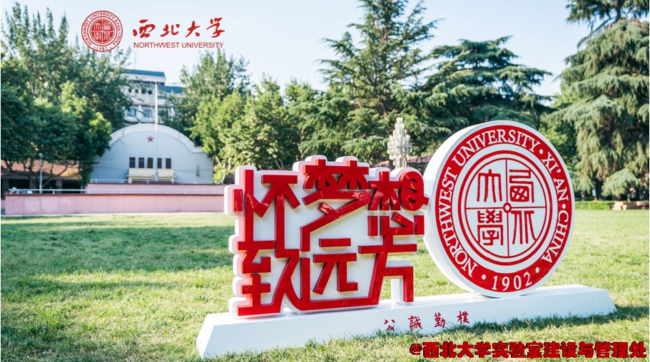 尾图.png