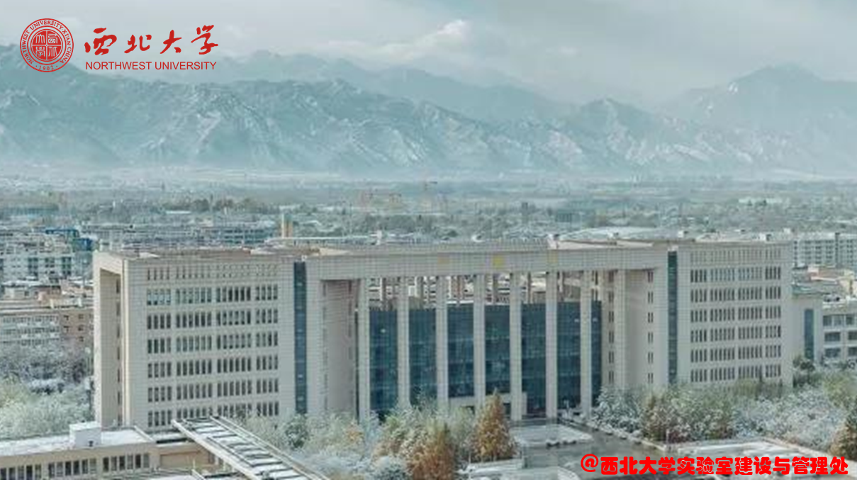 尾图.png